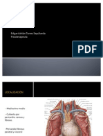 Morfofisiología del corazón