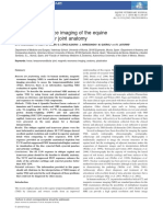 6 Magnetic Resonance Imaging of The Equine Temporomandibular Joint Anatomy