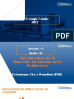 Biología Celular-Fundamentos de PCR-11-16 (3)
