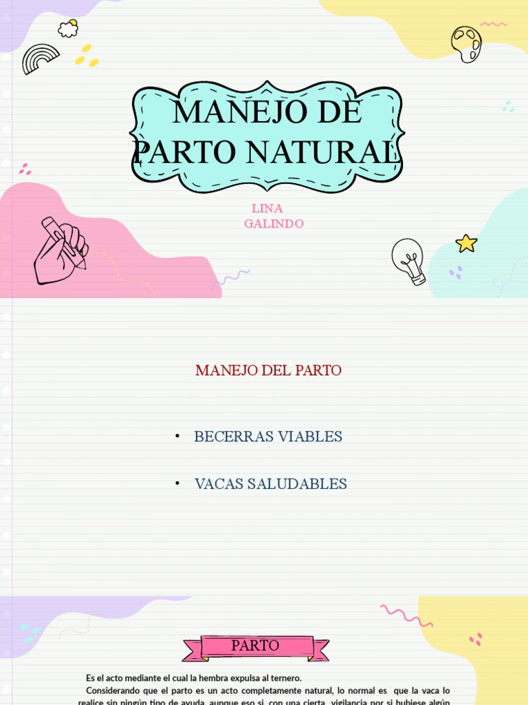 Manejo del Parto en Vacas | PDF | Parto | Vacas