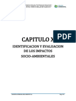 Cap. X - Identificacion y Evaluacion de Impactos Ambientales
