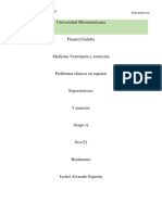 Mvz Esporotricosis