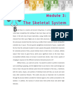 Skeletal System Introduction
