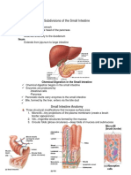 Digestive System