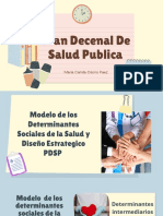 Plan Decenal De Salud Publica