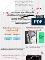 Grupo 2 Malformaciones Oseas de La Región Occipito Cervical