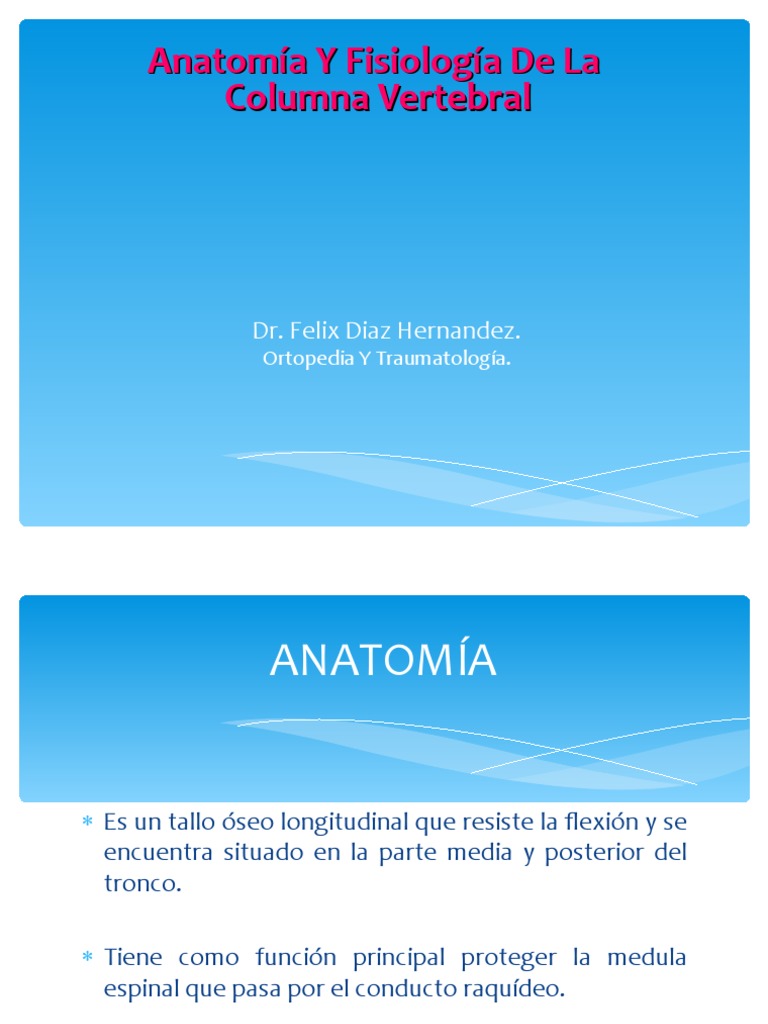 Anatomía y Fisiología de la Columna Vertebral | PDF | Vértebra | La ...