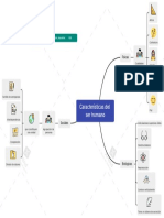 Características Del Ser Humano