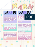 Cuadro Comparativo