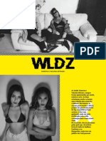 WLDZ Press-Kit