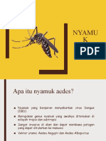 Nyamuk Aedes Aegypti