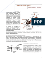 Manual hormigas construcción