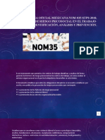 Norma Oficial Mexicana NOM-035-STPS-2018, Factores de Riesgo