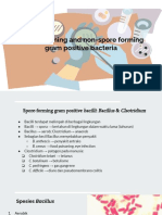 Gram Positive Bacilli: Spore Forming & Non-Spore Forming