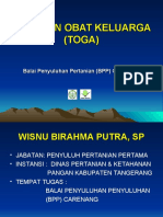 Budidaya Tanaman TOGA