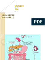 Metabolisme BILIRUBIN