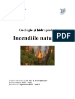 253009431 Incendiile Naturale Proiect
