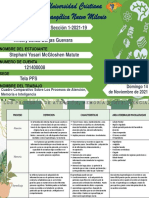 Tarea Cuadro Comparativo Sobre Los Procesos de Atencion e Inteligencia