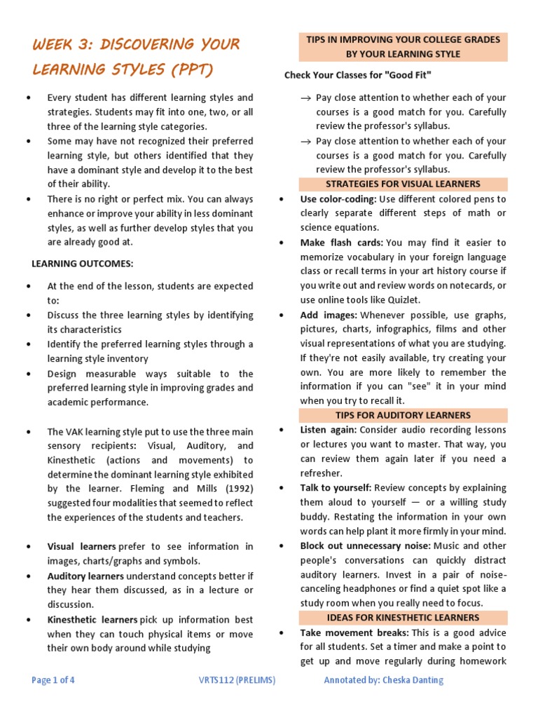 Student Learning Style Guide | PDF | Learning Styles | Human Communication