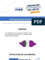 Transmision Sinaptica