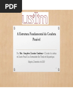 A Estrutura Fundamental da Conduta Punível reforcado ustm 2020