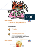 Sistema Respiratório - 7º Ano