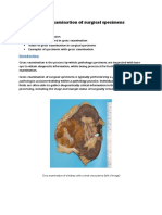 Gross Examination of Surgical Specimens