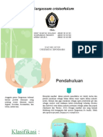 KELOMPOK 9 - Sargassum Cristaefolium