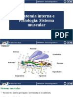 Aula 11_ Sistema Muscular, reprodutor e glandular