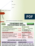 COUNTABLE AND UNCOUNTABLE NOUNS 3