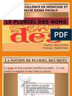 Le Pluriel Des Noms