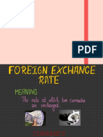 Foreign Exchange Rate (2)