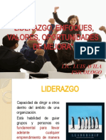 Liderazgo, Enfoques, Valores, Oportunidades de Mejora