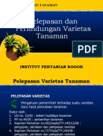 PELEPASAN VARIETAS TANAMAN