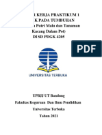 LKP Ipa Ut