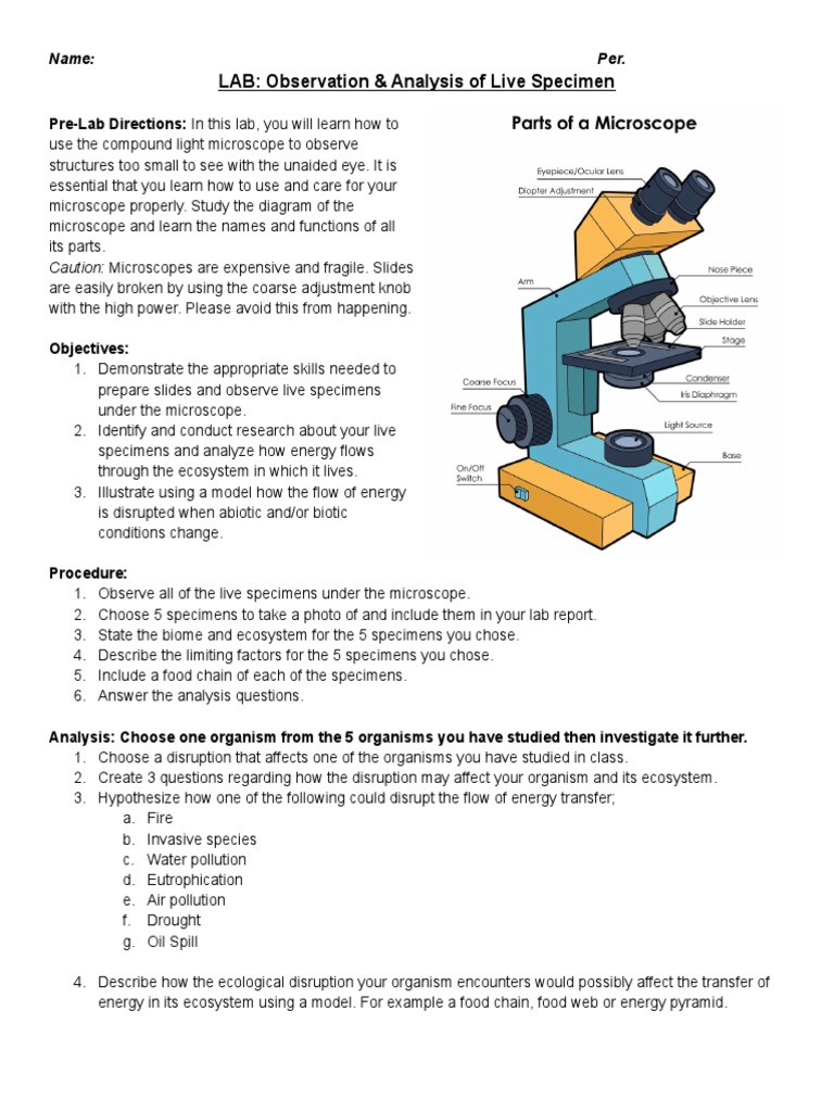 Introduction To The Microscope and Observation of Live Cells Laboratory ...