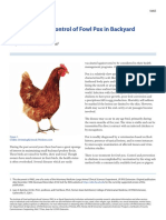 Prevention and Control of Fowl Pox in Backyard