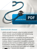 Diamond Skin Disease Pada Ternak Besar