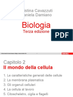 Cavazzuti Powerpoint 52075 c2