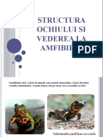 Structura Ochiului Si Vederea La Amfibieni