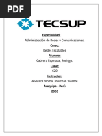 Administración de Redes y Comunicaciones. Redes Escalables Cabrera Espinoza, Rodrigo. C20