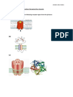 PHAP4006Y Workshop Questions Receptors - Channels