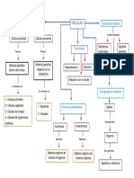 Mapa Conceptual Celula