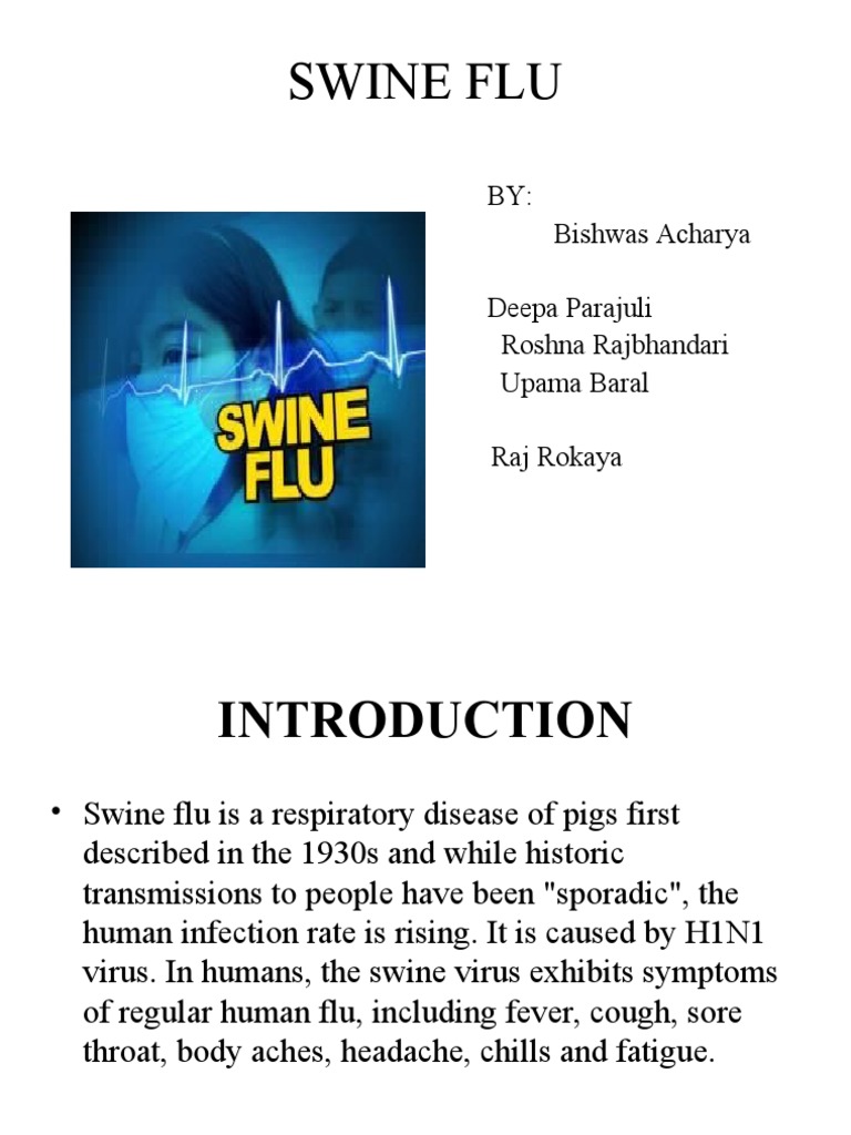 Swine Flu Overview and Impact in Nepal | PDF | Influenza | Swine Influenza