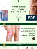 Clase 2 Govinda 500h Rodilla