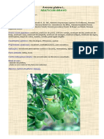 Jatropha gossypiifolia – Wikipédia, a enciclopédia livre