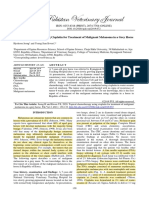 Topical Chemotherapy Using Cisplatin For Treatment of Malignant Melanoma in A Grey Horse