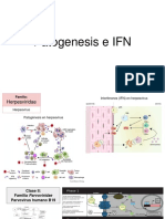 Tarea 10 - Patogenesis e IFN