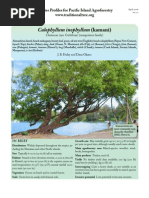 Download Calophyllum-kamani by nguyenleviethung SN54117358 doc pdf