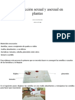 Reproducción Sexual y Asexual en Plantas